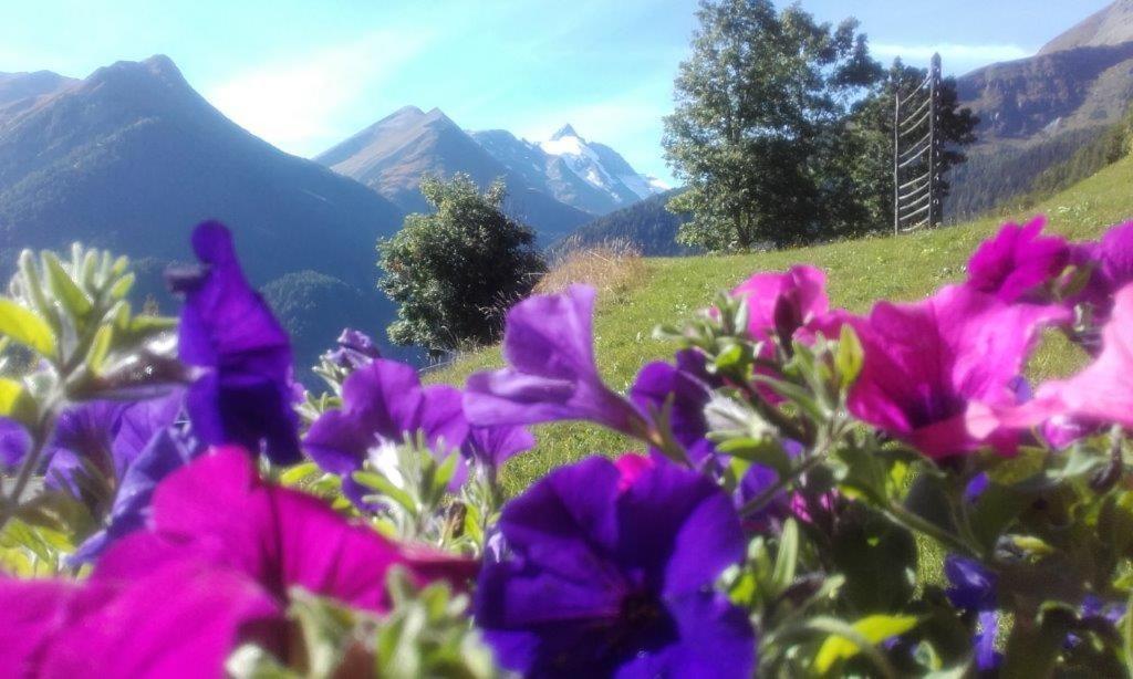 Ferienwohnung Hohe Wand Heiligenblut Exteriér fotografie